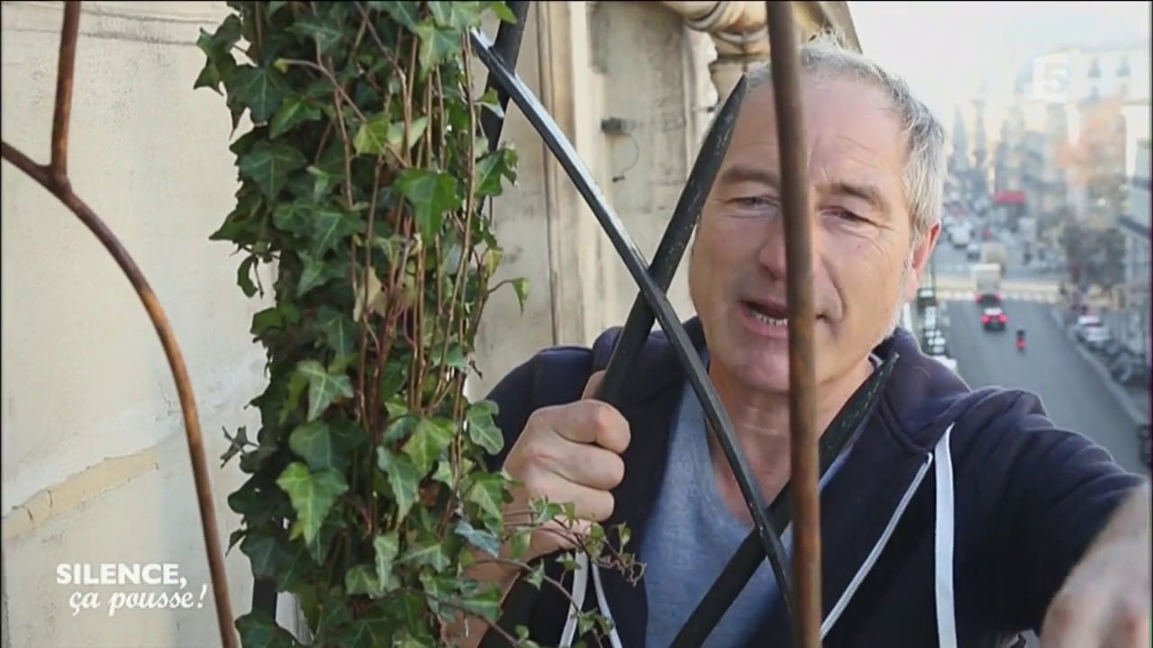 Aménager un balcon filant en jardin suspendu - Silence ça pousse - Silence, ça pousse !