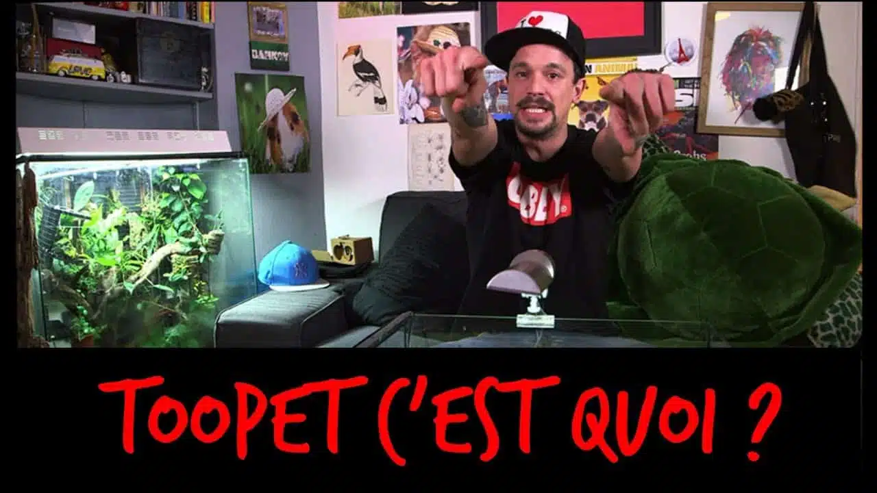 NOUVEAU SUR TOOPET ?