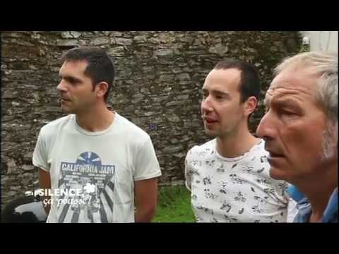 Pas de panique : comment habiller des murs en pierre !!! - Silence, ça pousse !