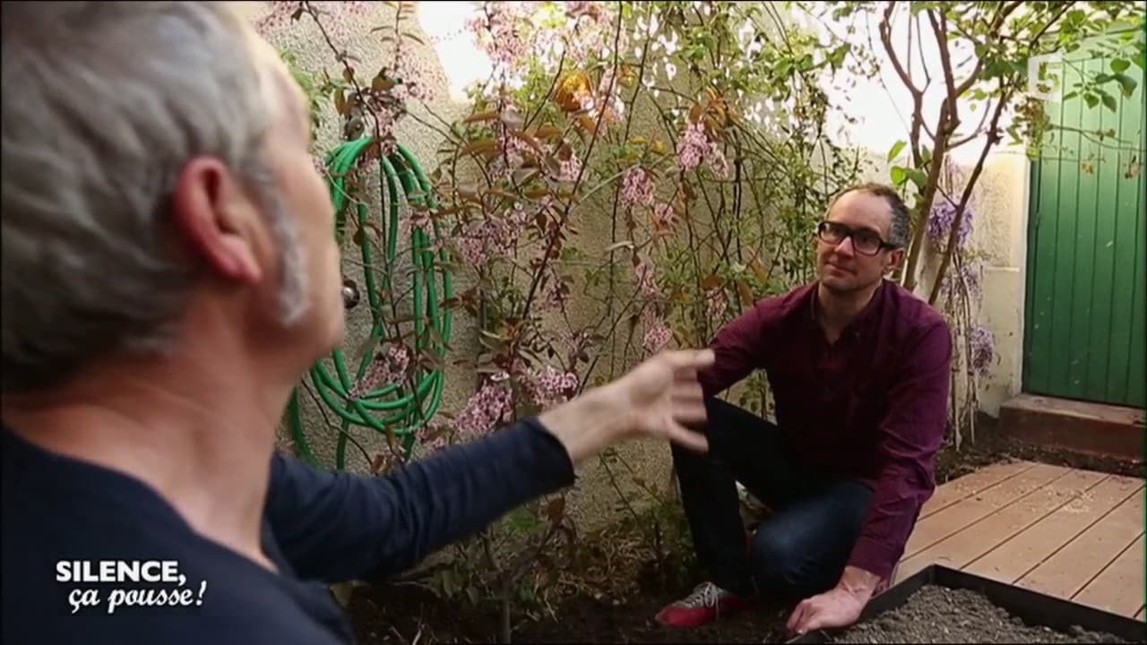 Pas de panique : habiller une cour terrasse - Silence, ça pousse !