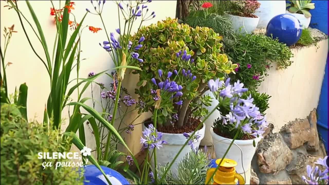 Pas de panique - Tendance Sud, Jardin Méditérranéen - Silence, ça pousse !