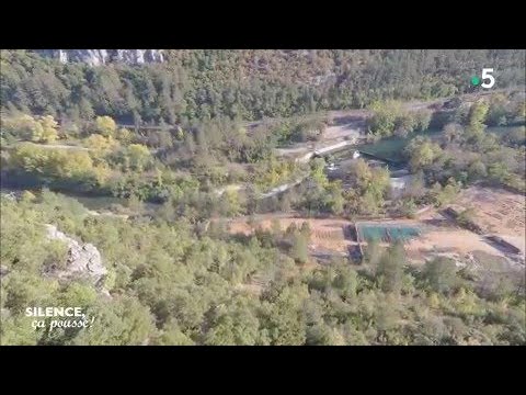 Paysage : l'étang de Montady - Silence, ça pousse !