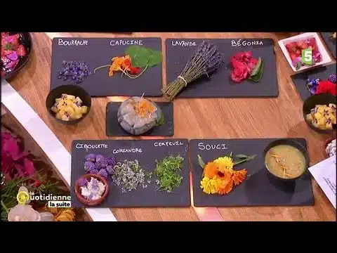 Produit du jour : les fleurs comestibles - La Quotidienne la suite