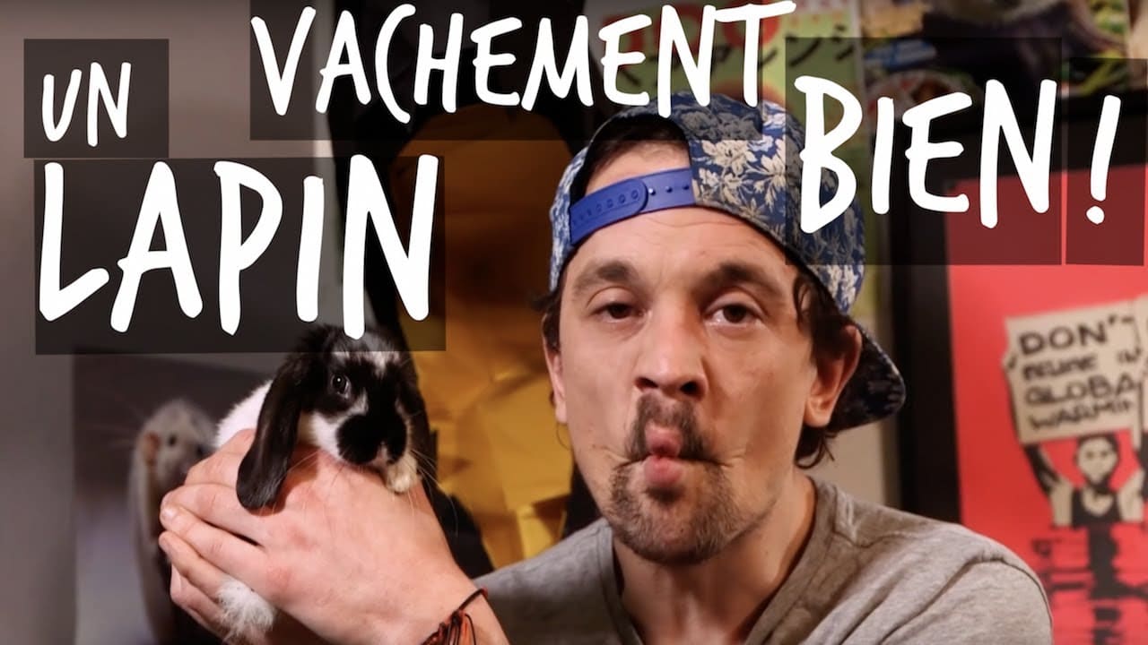 UN LAPIN C'EST VACHEMENT BIEN - TUTO TOOPET