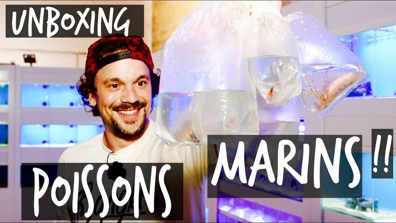 UNBOXING : DES CENTAINES DE POISSONS MARINS !! - VLOG TOOPET
