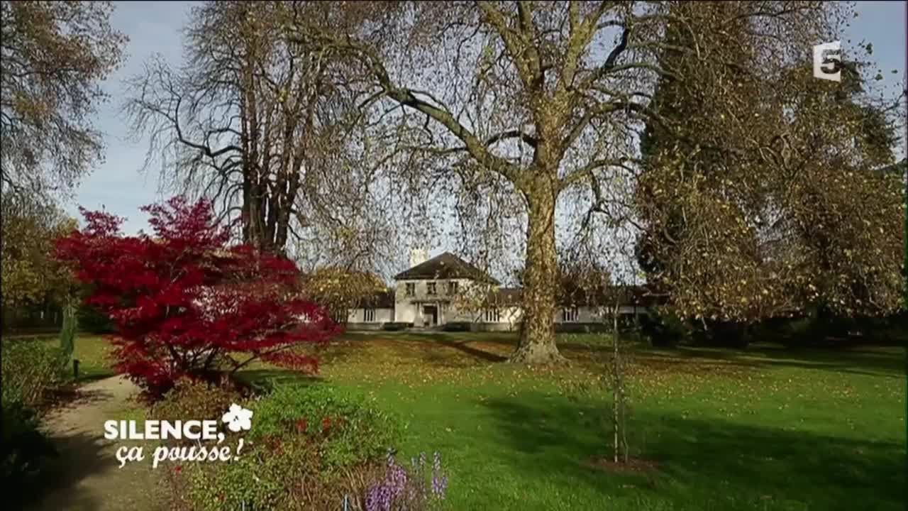 Visite de l'école du Breuil dans le Bois de Vincennes