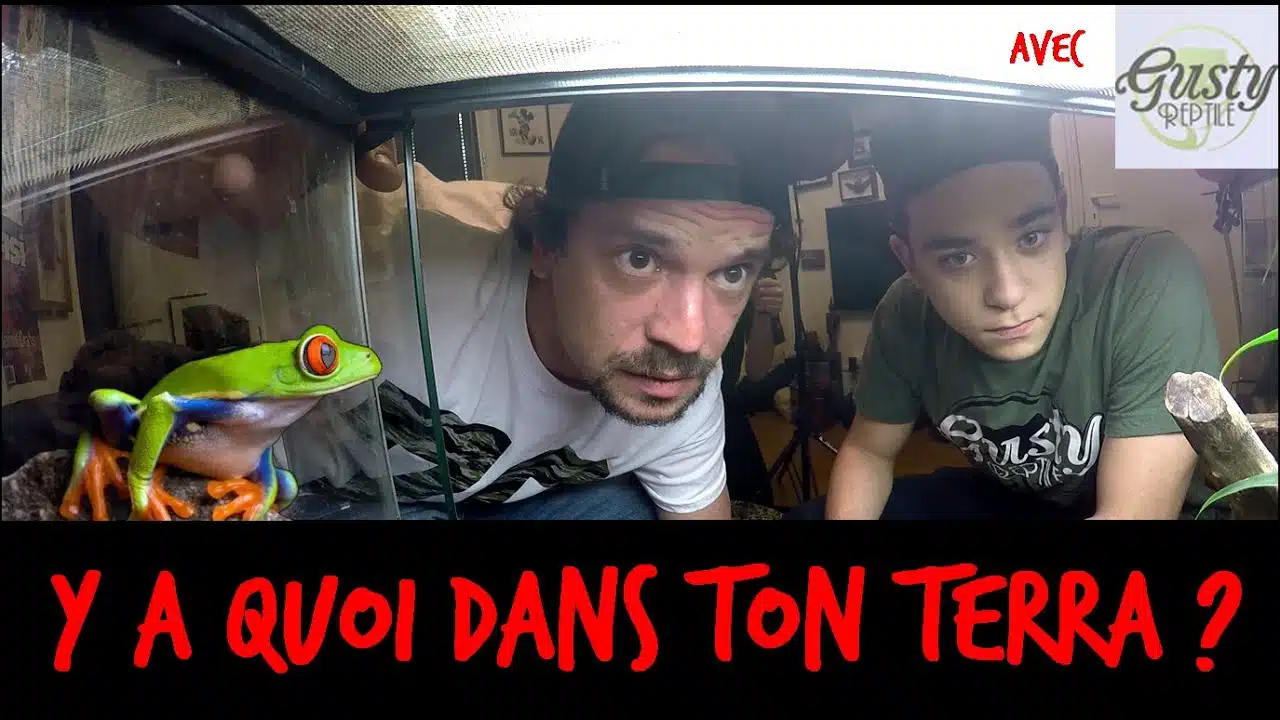 VLOG - Y-A QUOI DANS TON TERRA ? AVEC GUSTY REPTILE