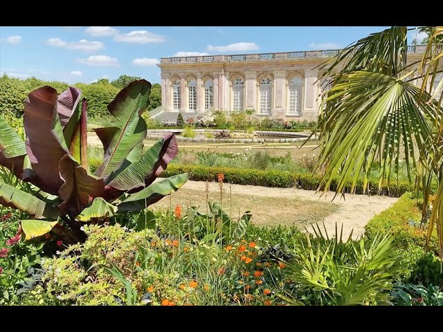 VOYAGE EXOTIQUE DANS LES JARDINS DE TRIANON À VERSAILLES