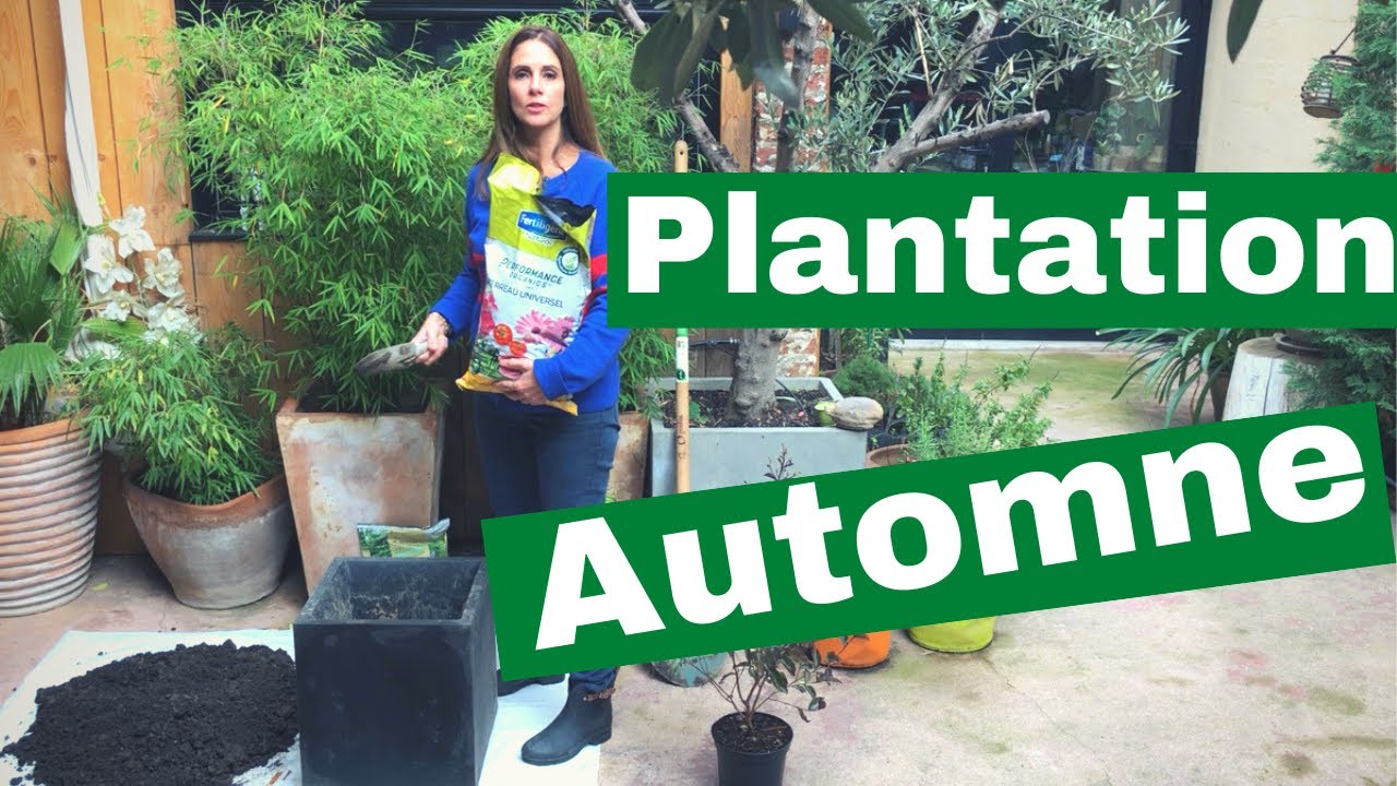 LES PLANTATIONS D'AUTOMNE #Terreau