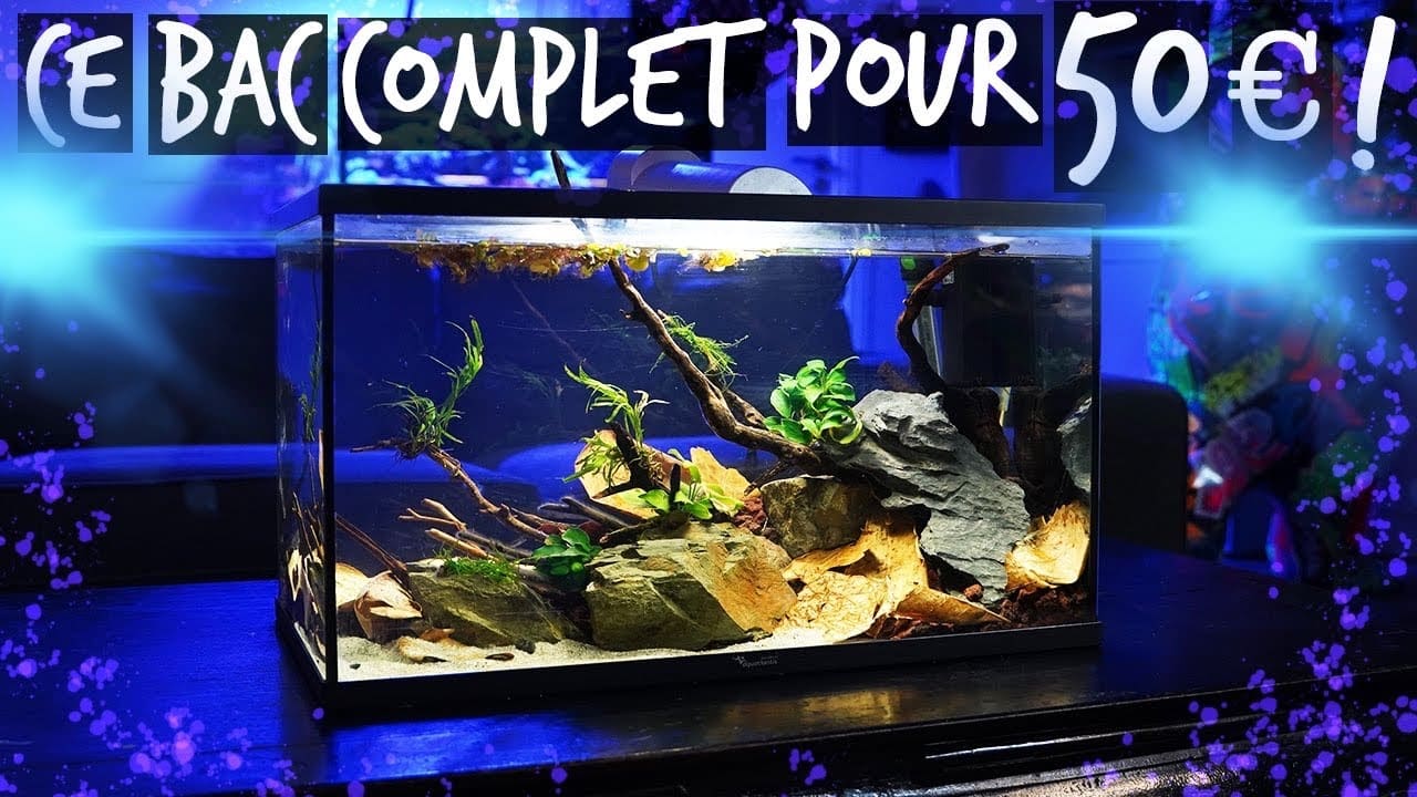 UN AQUARIUM QUAND T'AS PAS DE THUNES ! - TOOPET