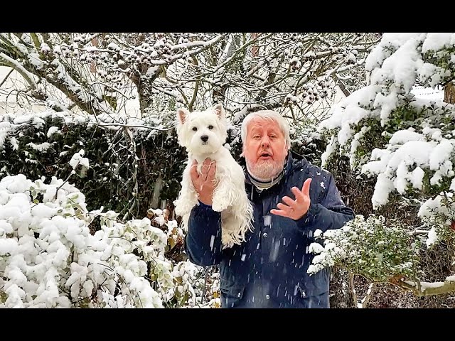 NOTRE JARDIN ET SES PLANTES EN DIRECT SOUS LA NEIGE (Émission Jardiner, ça fait du bien ! N°20)