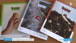 La Rochelle : Veìr, le magazine du jardinage urbain
