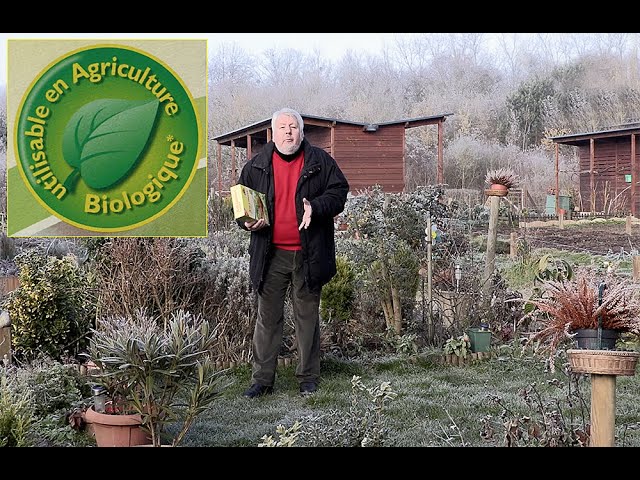 JARDINAGE AU NATUREL : DÉCOUVREZ SES BIENFAITS, POURQUOI ET COMMENT RESPECTER LA BIODIVERSITÉ