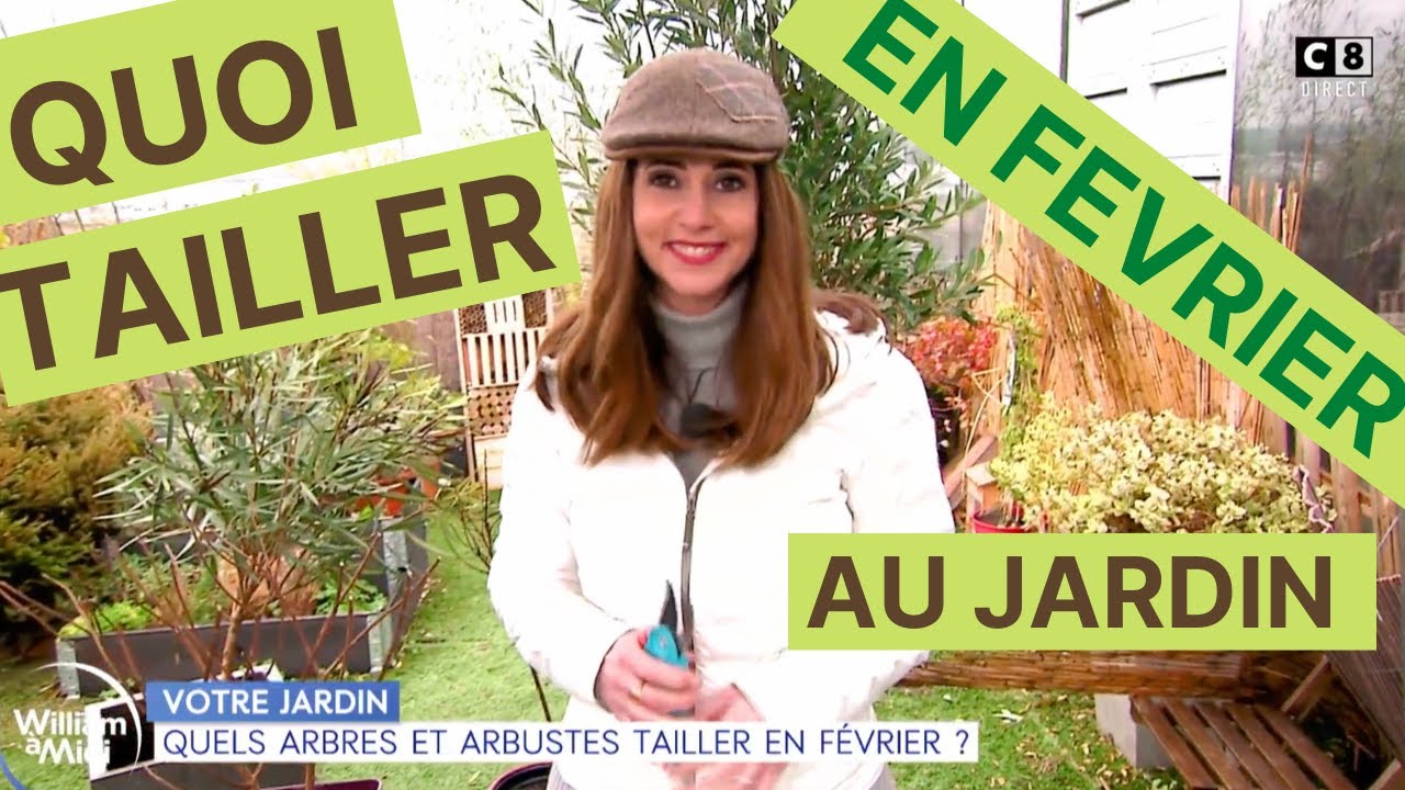 #5 QUOI TAILLER AU JARDIN EN FEVRIER ?