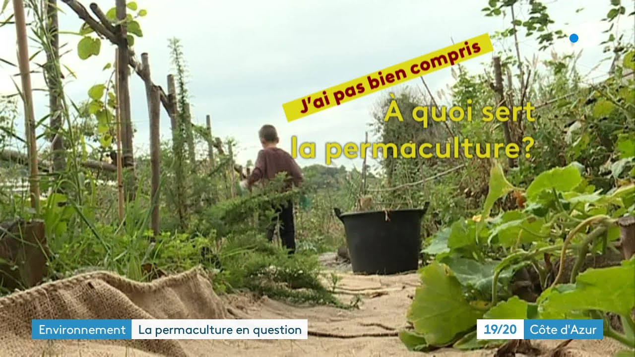 J'ai pas bien compris : à quoi sert la permaculture ?