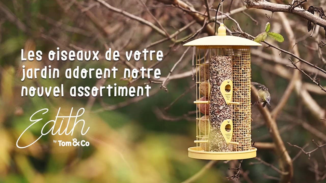 Les oiseaux de votre jardin adorent EDITH