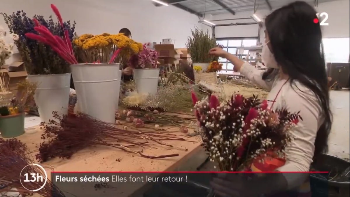 Tendance-les-fleurs-séchées-reviennent-à-la-mode-JAF-info Fleuriste