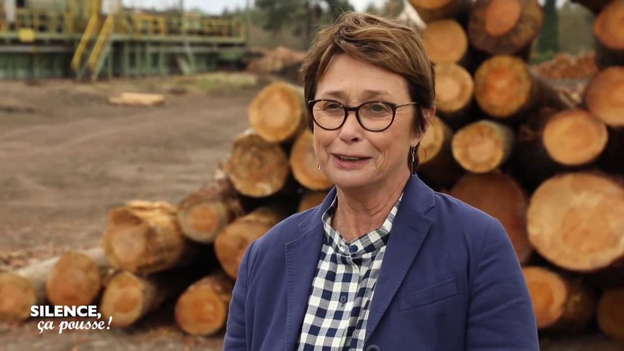 Dirigeante de scierie : Claudine Josso - Silence, ça pousse !