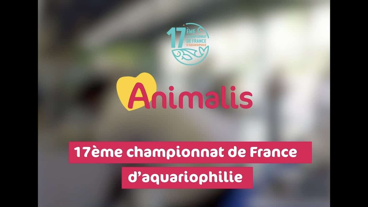 Animal Expo Animalis - 17ème Edition du Championnat de France d' Aquariophilie