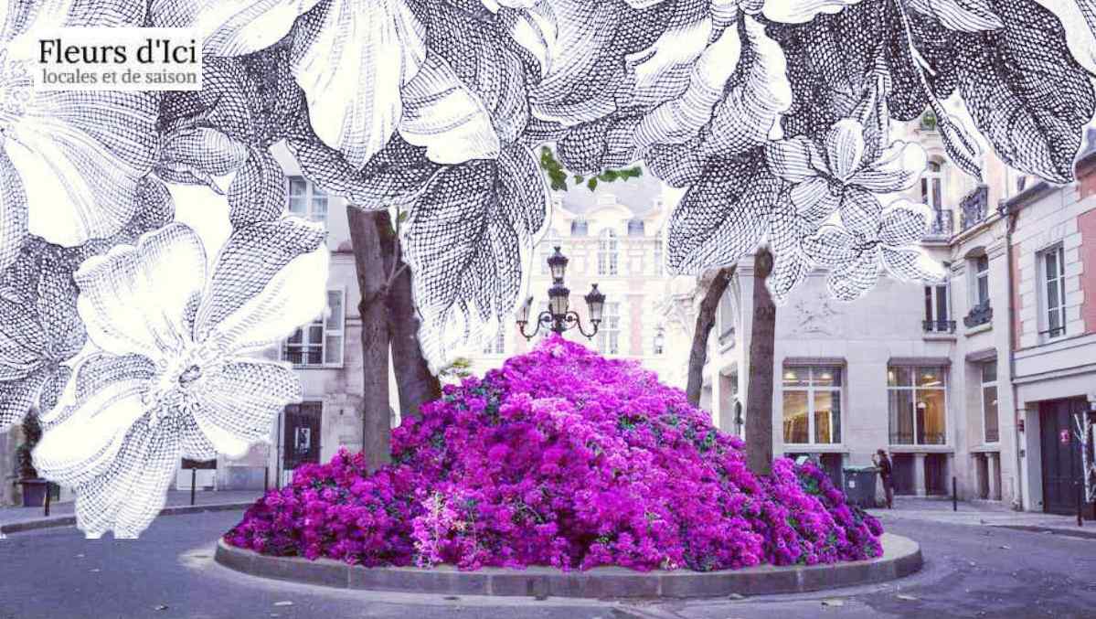 Fleurs d'ici JAF-info Fleuriste