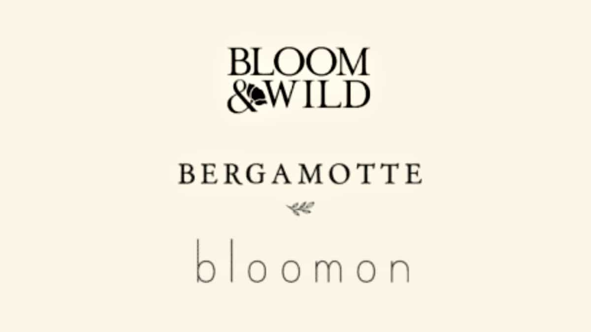 Bergamotte Bloom and Wild Bloomon JAF-info Fleuriste