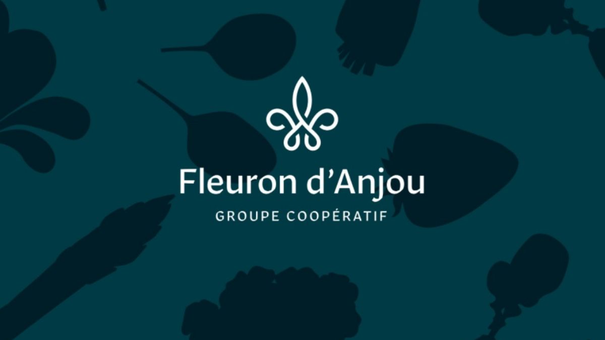 Fleuron d'anjou JAF-info Jardinerie