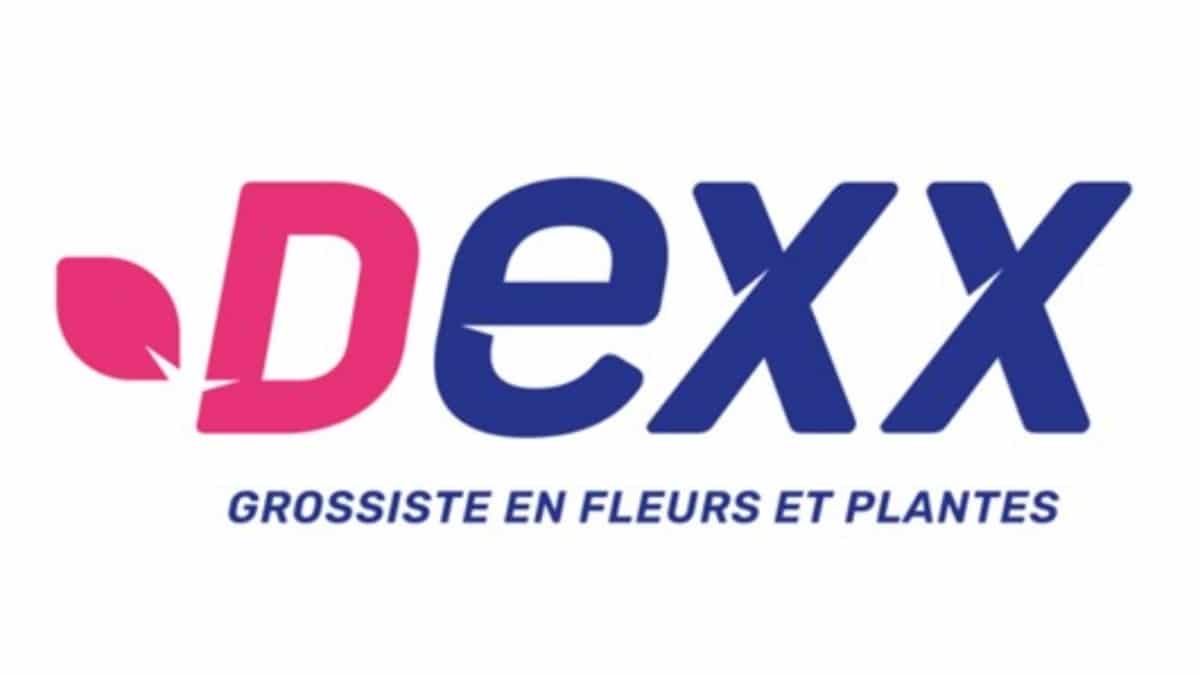 logo 2022 DEXX Fleurs JAF info